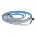 LED-RGBW-Streifen für das Badezimmer DAISY 5m kaltweiß IP65