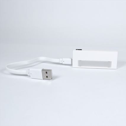 LED-Schrankleuchte LED/0,6W/USB