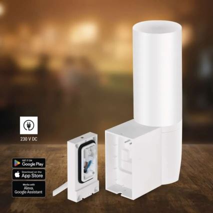 LED-Smart-Kamera mit Leuchte für den Outdoor-Bereich GoSmart LED/12W/230V IP65 Wi-Fi Tuya weiß