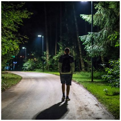 Dimmbare LED-Solar-Straßenleuchte mit Bewegungs- und Dämmerungssensor URBI LED/8W/3,2V 6500K IP54 + Fernbedienung