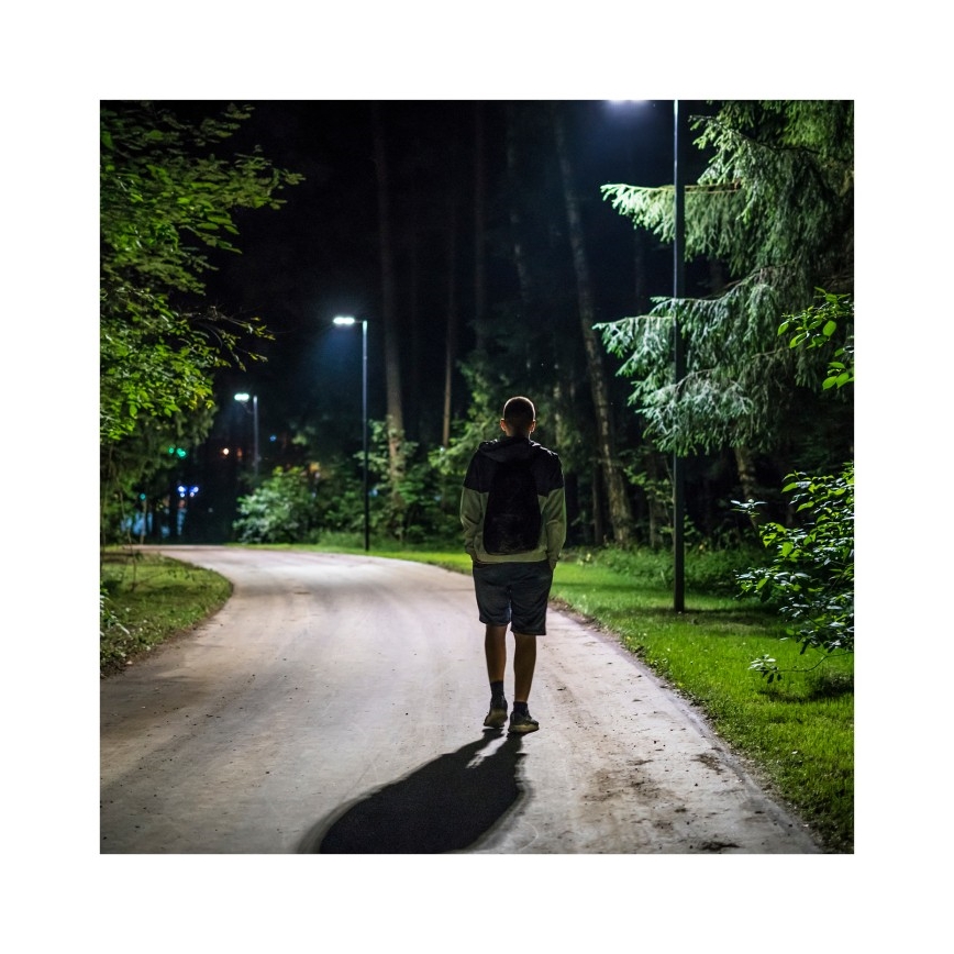 Dimmbare LED-Solar-Straßenleuchte mit Bewegungs- und Dämmerungssensor URBI LED/8W/3,2V 6500K IP54 + Fernbedienung