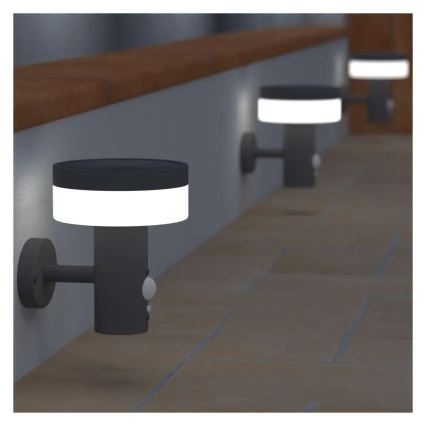 LED Solar-Wandleuchte mit Sensor LED/2W/3,7V 1200 mAh IP44