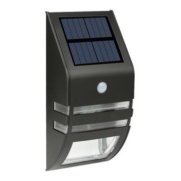 LED Solar-Wandleuchte mit Sensor LED/3,7V 500 mAh IP44 Schwarz