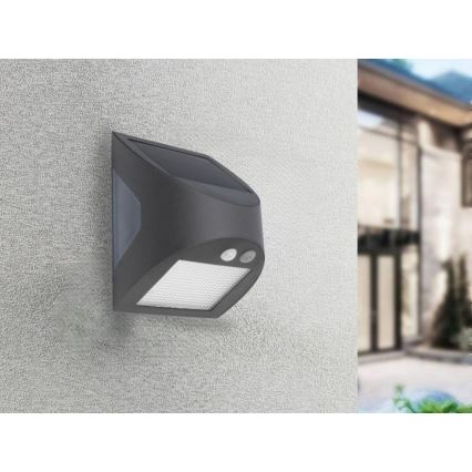 LED Solar-Wandleuchte mit Sensor LED/3W/3,7V 3000/4000K 1200 mAh IP54 anthrazit
