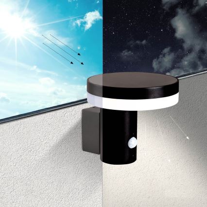 LED Solar-Wandleuchte mit Sensor SOLARIS3 LED/5,5W/3,7V 4000K IP44 2600 mAh