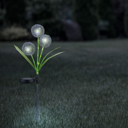 LED-Solarleuchte ALLIUM LED/1,2V 6500K 600 mAh IP44 schwarz