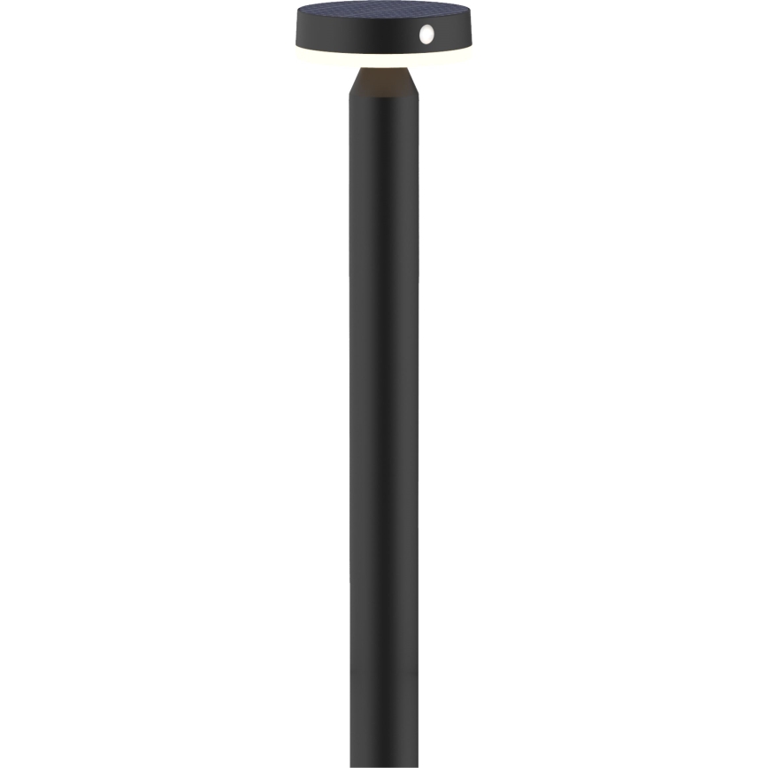 LED Solarleuchte mit Sensor GWINEA LED/4,5W/3,7V 2000 mAh 50 cm IP44 schwarz