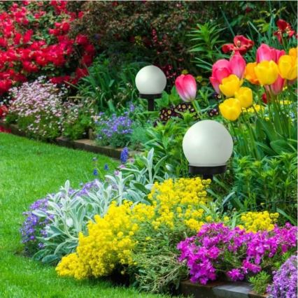 LED Solarlampe LED/1xAAA IP44 mit Dämmerungssensor