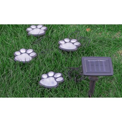 LED-Solarleuchte LED/0,14W/2V 600 mAh IP44 tlapky