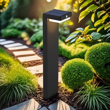 LED Solarleuchte mit Bewegungs- und Dämmerungssensor PALERMO LED/5W/5V 2000 mAh IP54 schwarz