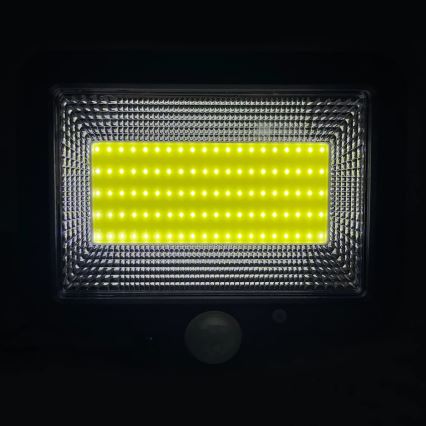 LED Solarstrahler mit DUO-Sensor LED/1W/3,7V 1200 mAh IP44