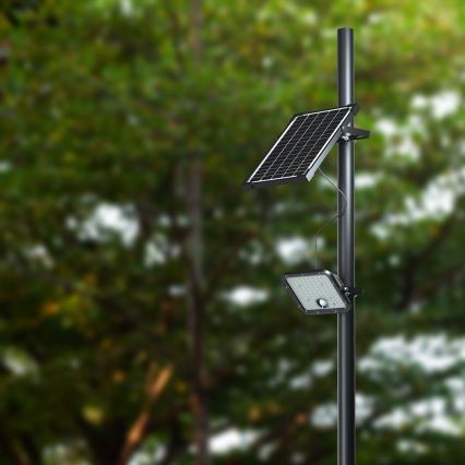 LED-Solarstrahler mit Sensor LED/30W/6,4V 4000K + Fernbedienung