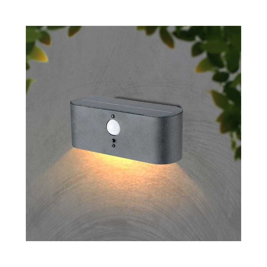 LED-Solarwandleuchte für den Außenbereich mit Sensor LED/2,5W/3,7V 3000K IP54