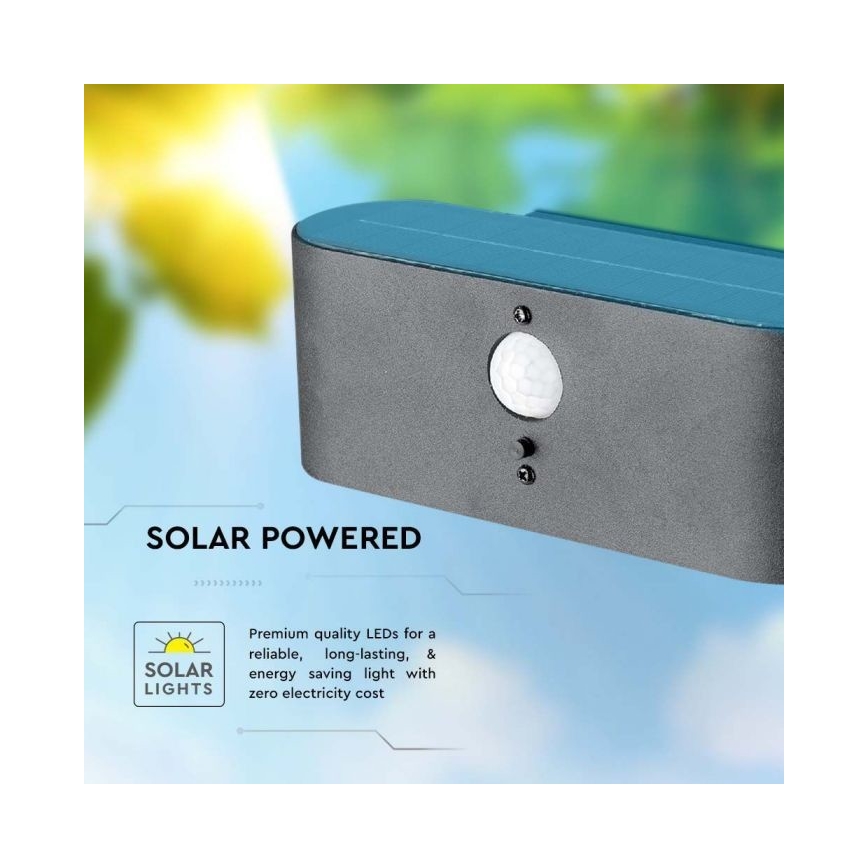 LED-Solarwandleuchte für den Außenbereich mit Sensor LED/2,5W/3,7V 3000K IP54