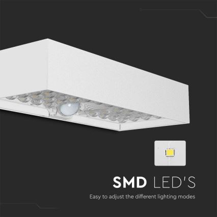 LED-Solarwandleuchte mit Sensor LED/6W/3,7V IP65 4000K 3000 mAh weiß