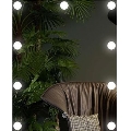 LED-Spiegel mit Beleuchtung 9xLED/1W/230V 3000/4000/6000K 50x40 cm IP44