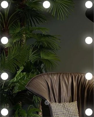 LED-Spiegel mit Beleuchtung 9xLED/1W/230V 3000/4000/6000K 50x40 cm IP44