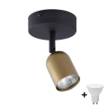 LED-Spot TOP 1xGU10/10W/230V gold/schwarz