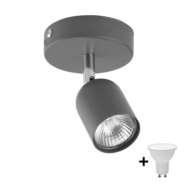 LED-Spot TOP 1xGU10/10W/230V grau