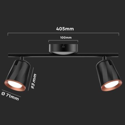 LED Spotleuchte 2xLED/5W/230V 4000K schwarz