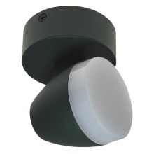 LED Spotleuchte SURMUR LED/6W/230V grün