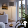 LED-Stehleuchte TUNJA 1xE27/20W/230V Ø 38 cm gold/braun