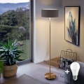 LED-Stehleuchte TUNJA 1xE27/20W/230V Ø 38 cm gold/braun