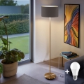 LED-Stehleuchte TUNJA 1xE27/20W/230V Ø 38 cm gold/taupe