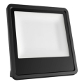 LED-Strahler für den Außenbereich LED/30W/230V 4000K IP65 schwarz