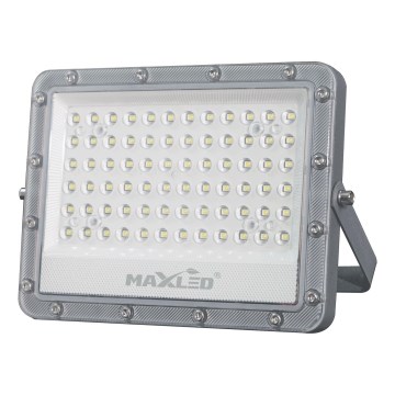 LED-Strahler für den Außenbereich LED/50W/230V 5000K IP65 grau