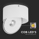 Flexibler LED-Strahler LED/20W/230V 3000/4000/6400K CRI 90 weiß