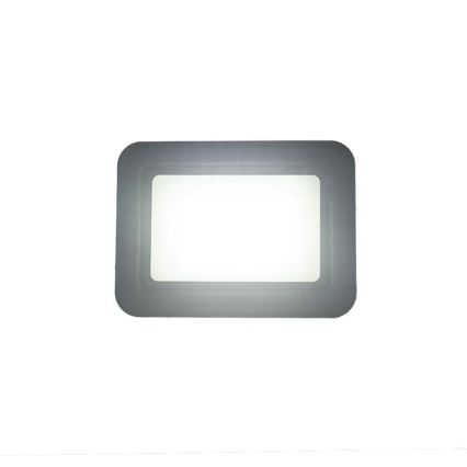 LED-Strahler LED/30W/230V 4000K IP65