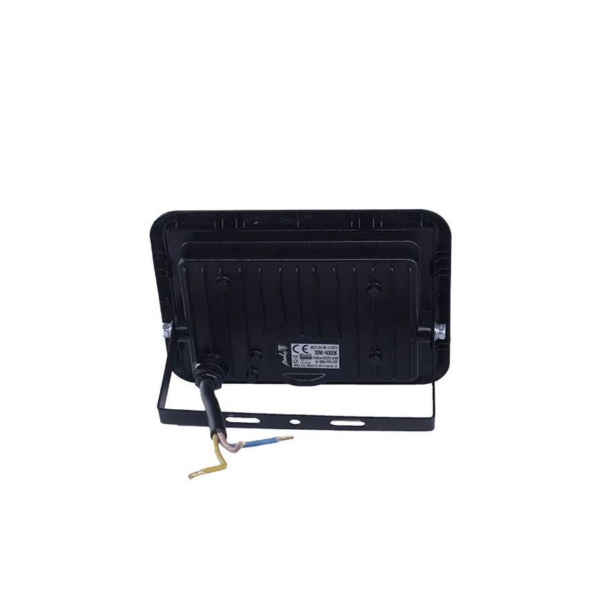LED-Strahler LED/30W/230V 4000K IP65