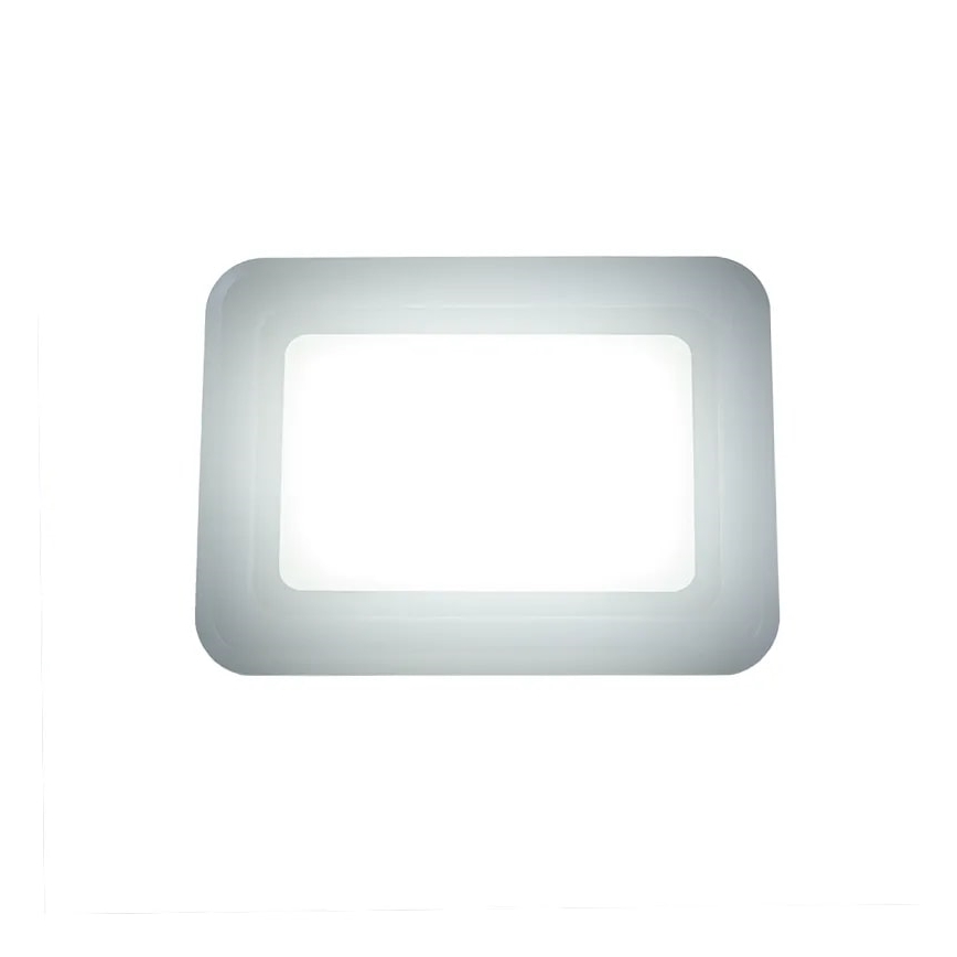 LED-Strahler LED/50W/230V 4000K IP65