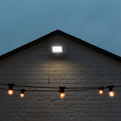 LED-Strahler LED/50W/230V IP65 3000/4000/6500K grau
