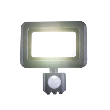 LED-Strahler mit Sensor LED/20W/230V 4000K IP44