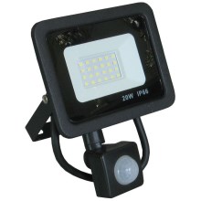 LED-Strahler mit Sensor LED/20W/230V IP66