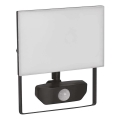 LED-Strahler mit Sensor TAMBO LED/30W/230V 4000K IP54