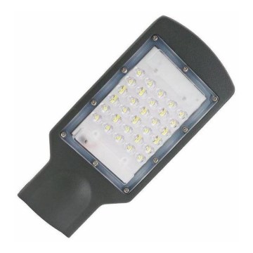 LED-Straßenlampe LED/30W/230V IP65