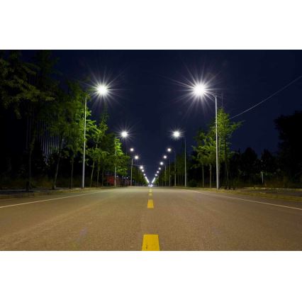 LED-Straßenlaterne BOSTON LED/35W/230V IP65