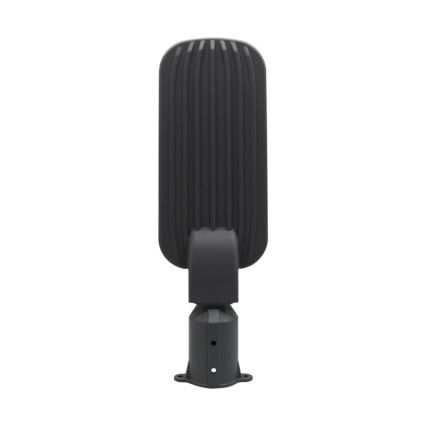 LED-Straßenleuchte BRELUXO LED/100W/230V 4000K IP65