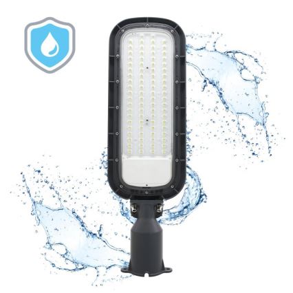 LED-Straßenleuchte BRELUXO LED/150W/230V 4000K IP65