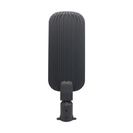 LED-Straßenleuchte BRELUXO LED/200W/230V 4000K IP65