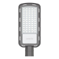 LED-Straßenleuchte LED/100W/230V 6500K IP65 grau
