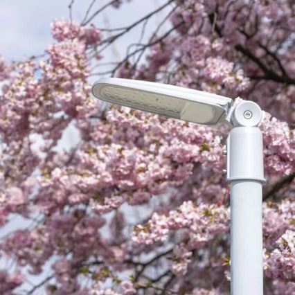 LED-Straßenleuchte SOLIS LED/30W/230V 4000K IP65