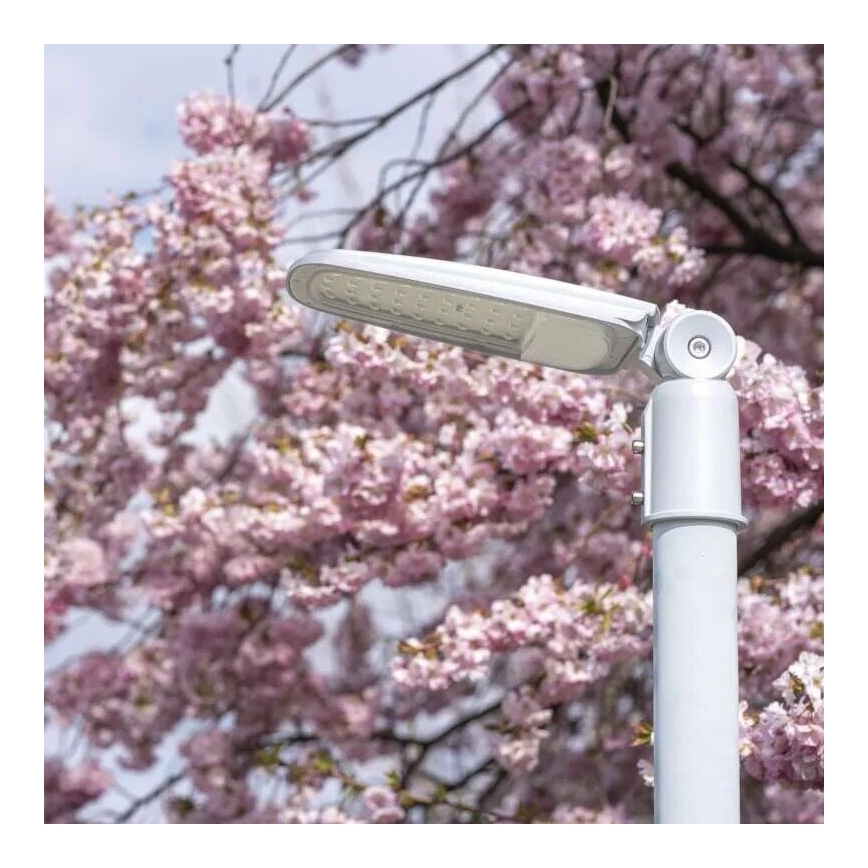 LED-Straßenleuchte SOLIS LED/30W/230V 4000K IP65