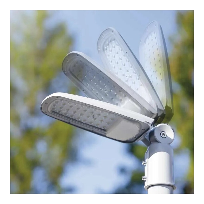 LED-Straßenleuchte SOLIS LED/50W/230V 4000K IP65