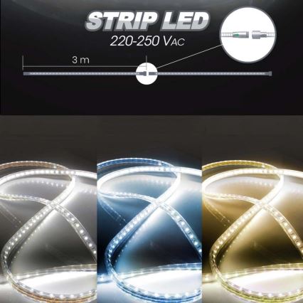 LED-Streifen EASY CONNECT LED/14,4W/230V 3m IP67 blau