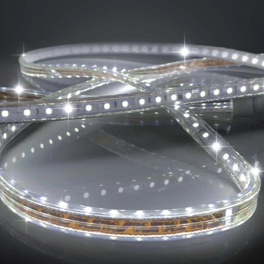 LED-Streifen EASY CONNECT LED/14,4W/230V 3m IP67 kaltweiß