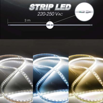 LED-Streifen EASY CONNECT LED/14,4W/230V 3m IP67 kaltweiß
